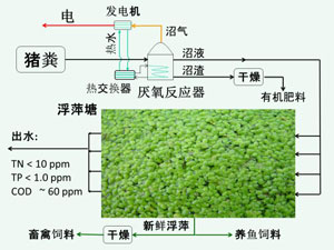 完整的大中型沼气发酵工程流程